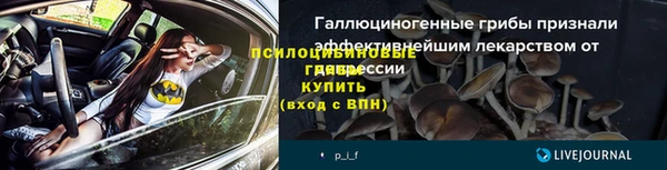 PSILOCYBIN Алзамай