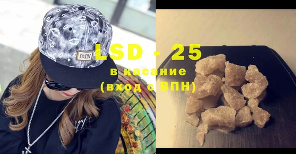 PSILOCYBIN Алзамай